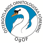 Östergötlands Ornitologiska Förening
