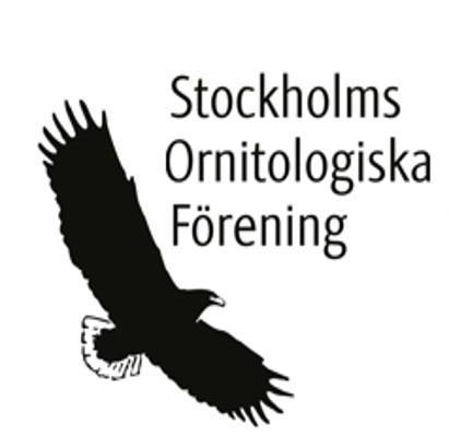 Stockholms Ornitologiska Förening
