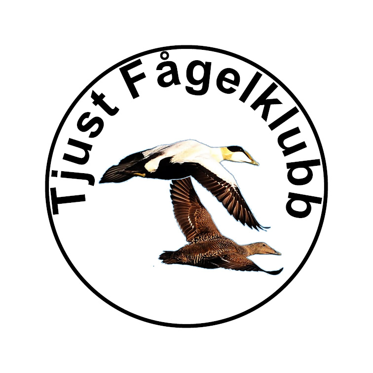 Tjust Fågelklubb