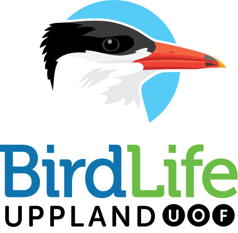 BirdLife Uppland