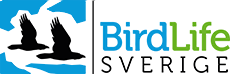 Logotyp för BirdLife Sverige